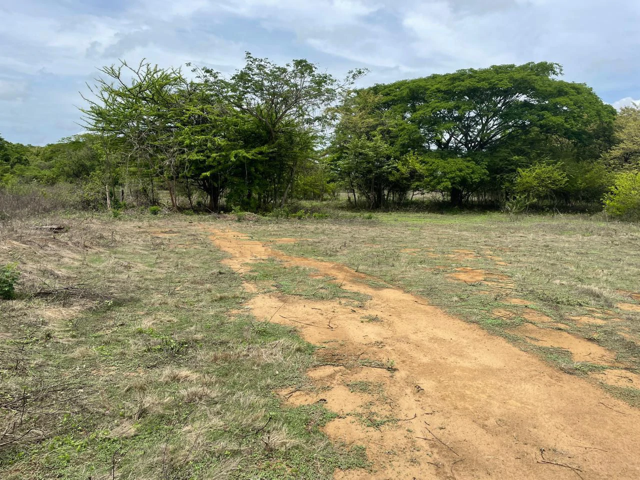 BEST PRICE! For sale comercial Property for warehouses or free zone, 1 km from Liberia Airport, Guanacaste, CR - Gallery image 3