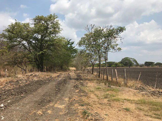 Great opportunity: Big property in Palmira de Carrillo - Gallery image 11