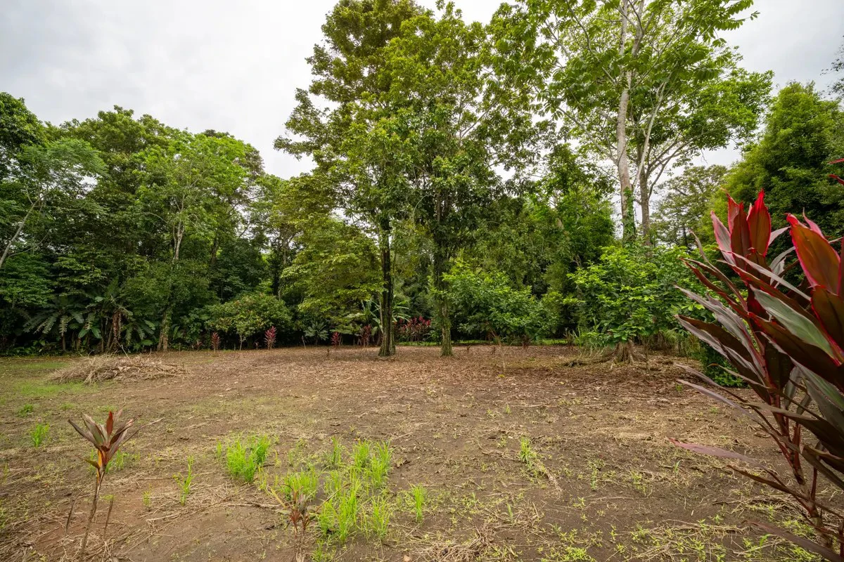 ID 1150: 3000 sqm Titled Land Near Cahuita National Park, Costa Rica - photo 7
