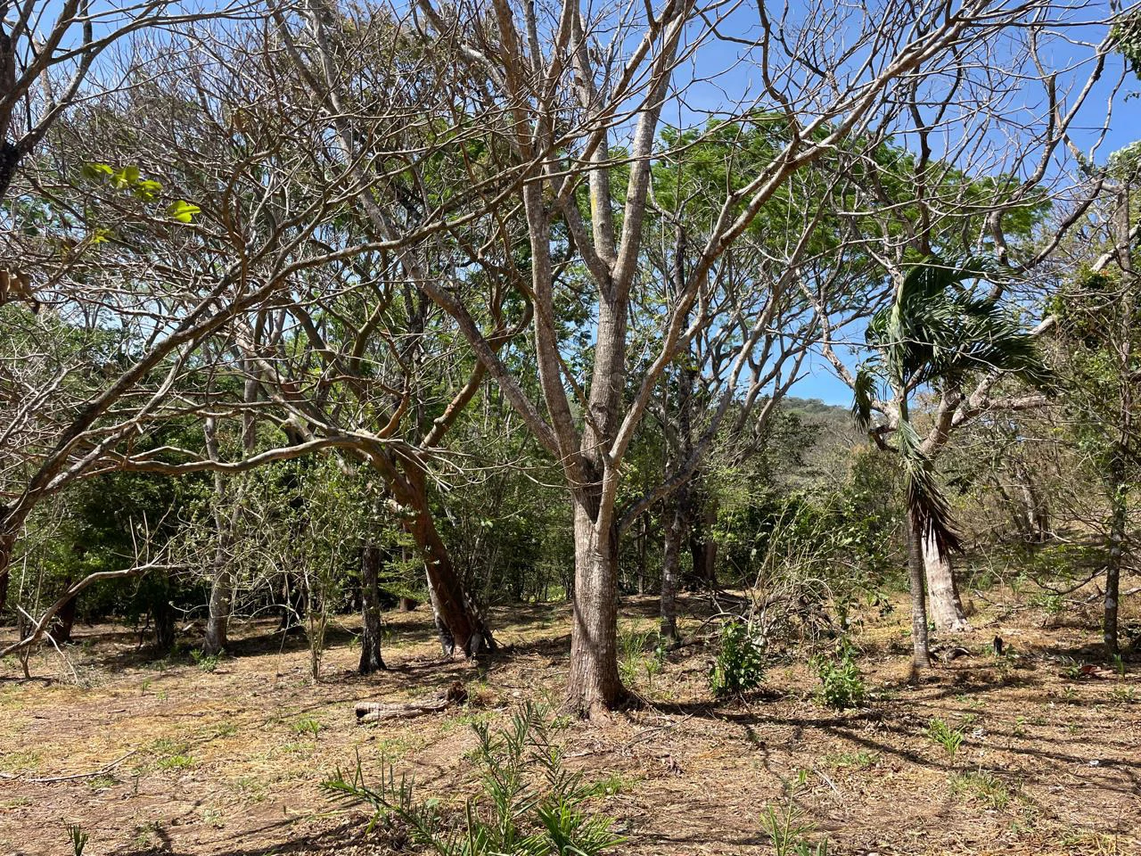 Ocean view property for sale Rodeo Ciudad Colon San Jose Costa Rica - Gallery image 7