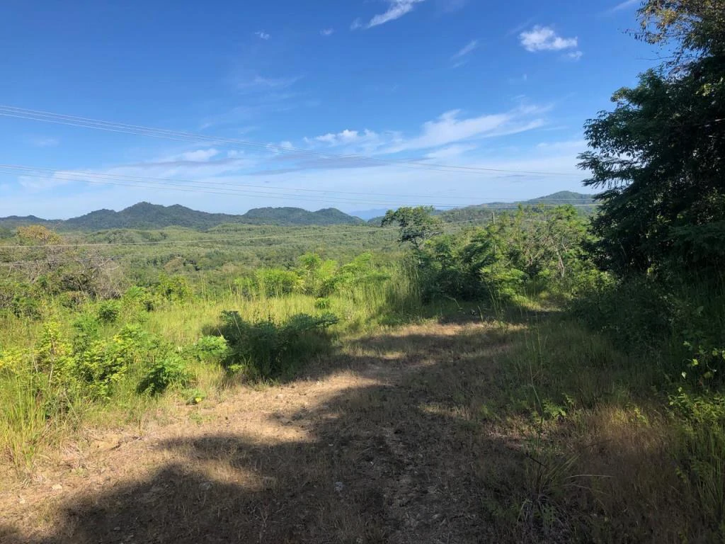 Ocean View Property with Panoramic Views on the Pacific Gold Coast – Guanacaste - Gallery image 7
