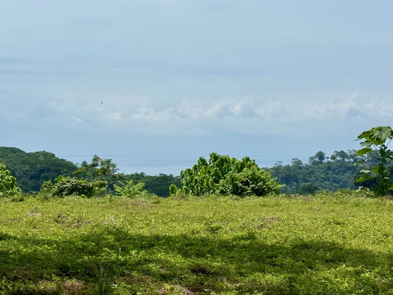 Ocean & Mountain View Property Near Santa Teresa with Impressive Building Platform Surrounded by Jungle: One of a Kind Lot Between Mal Pais and Cabuya - Gallery image 3