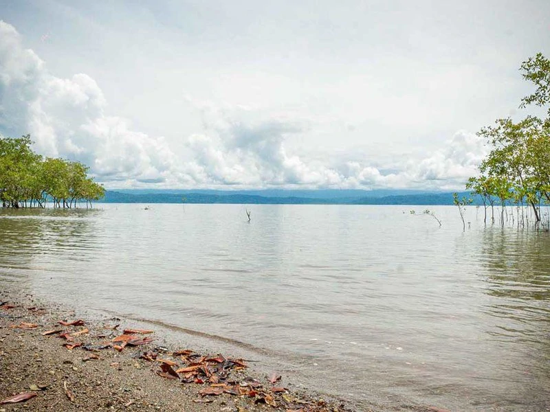 Titled Beach Property in the Osa - Gallery image 19