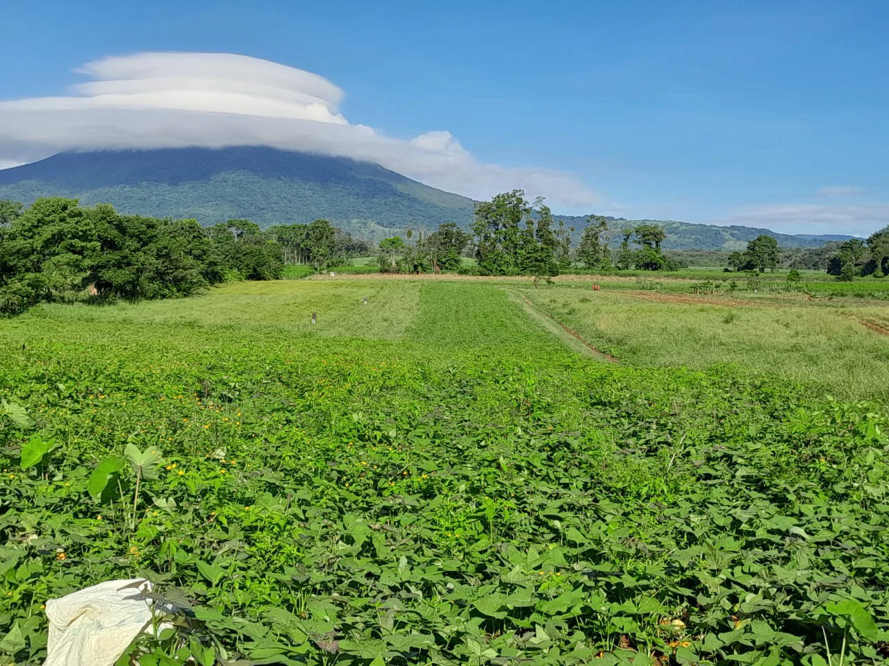 La Fortuna (Arenal) Opportunity!: 4 ha in La Fortuna Tourist Hotspot! USO: Hotel | Commercial | Mixted - Gallery image 3