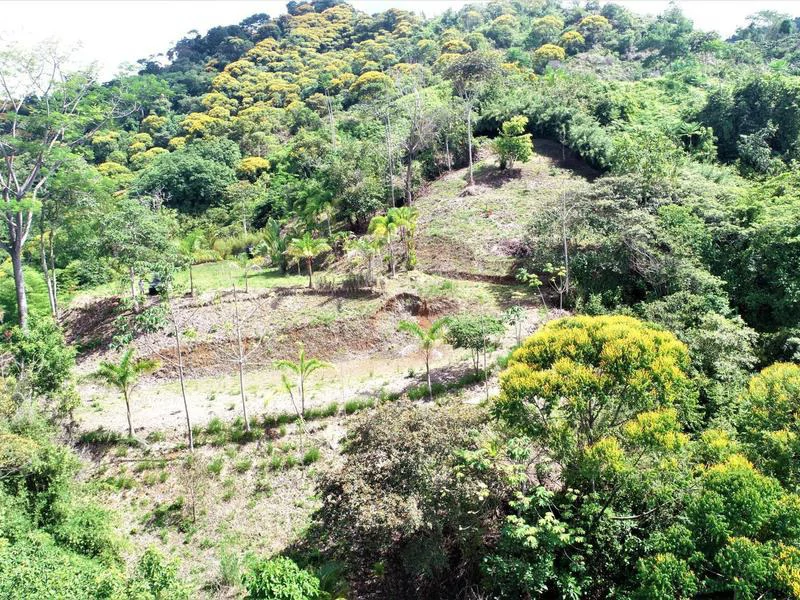 Captivating 3.15-Acre Property: Huge Pricedrop! Firesale Oceanview Lot in Tres Rios - Gallery image 16