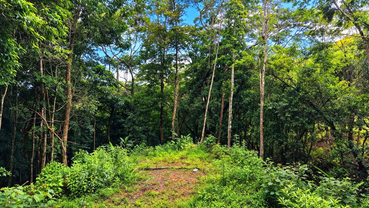 Home Construction Site For Sale in San Isidro del General - Gallery image 8