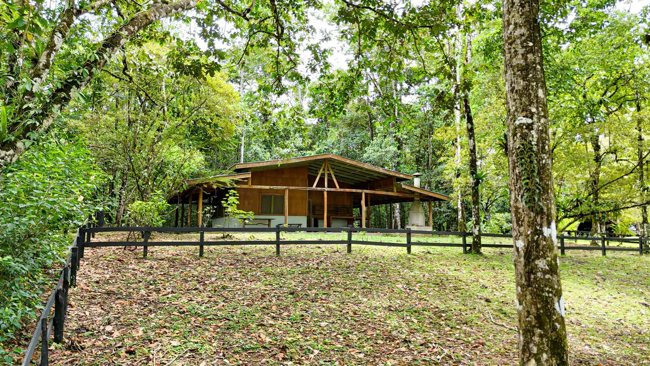 Finca Macadamia: 154-acre Rainforest Paradise with two Houses and Trails! - Gallery image 2