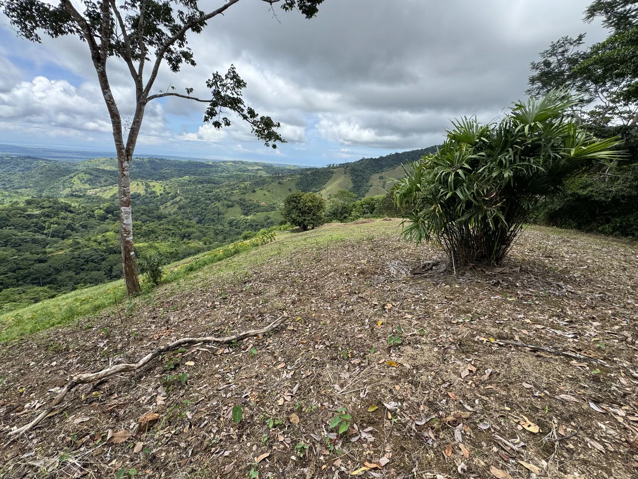 137 Acre Ocean View Farm with Riverfront in Southern Costa Rica - Gallery image 8