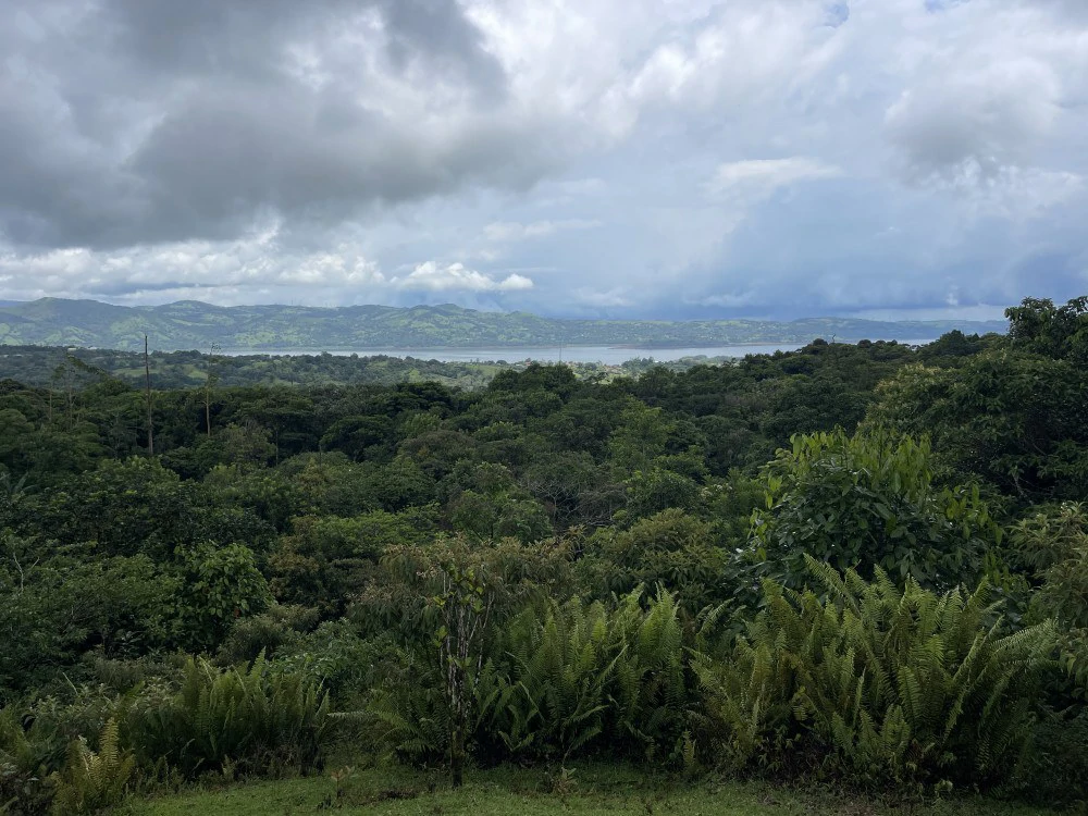 Nuevo arenal: Looking for a Property to Develop Family Residences with Lake Views? - Gallery image 22