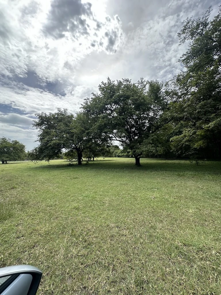 Finca La Fabiola: 4-Hectare Property in Santa Cruz, Guanacaste - photo 6
