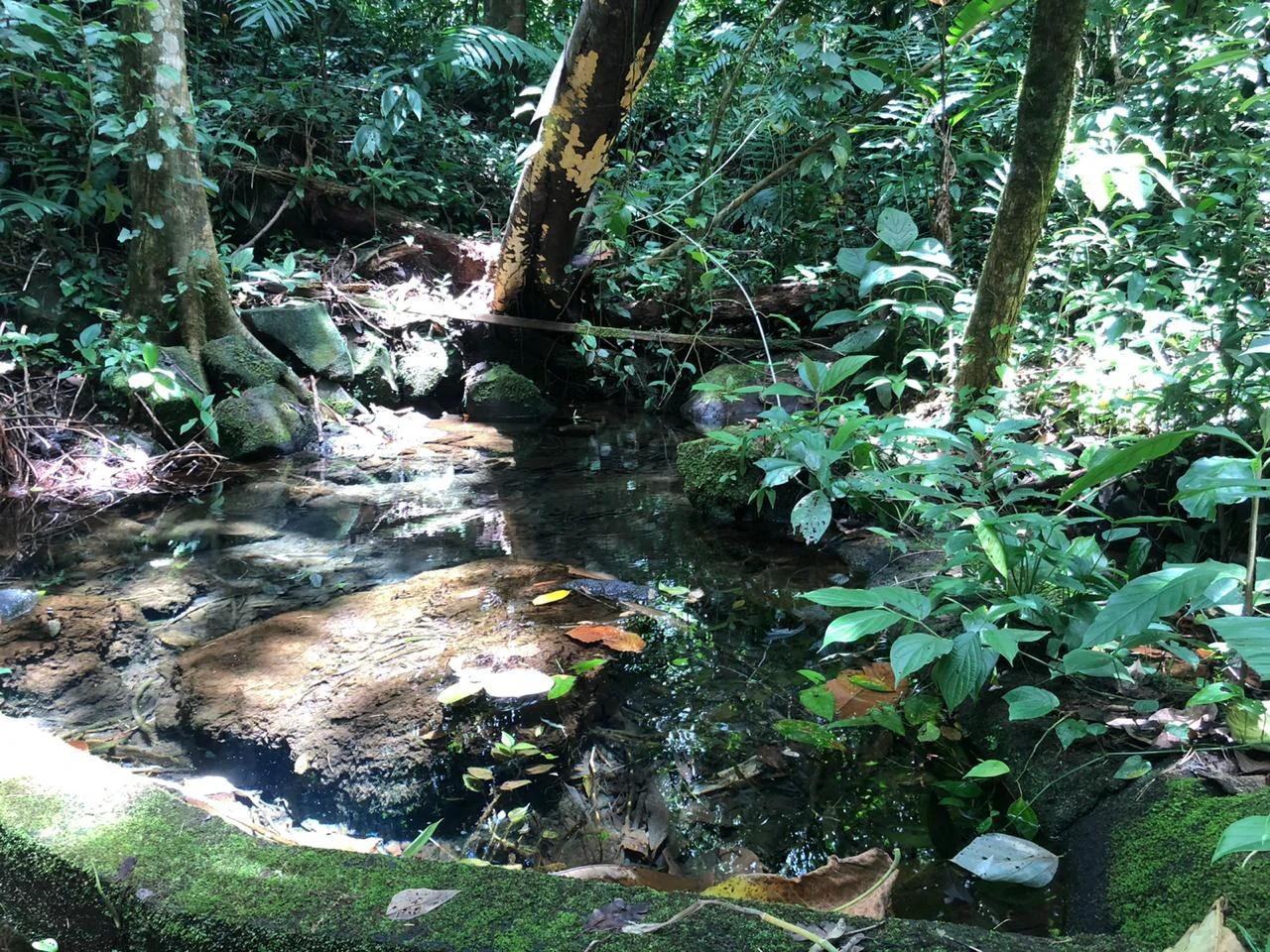 Hot Springs Property in Dos Ríos de Upala – Excellent Investment Opportunity - Gallery image 2
