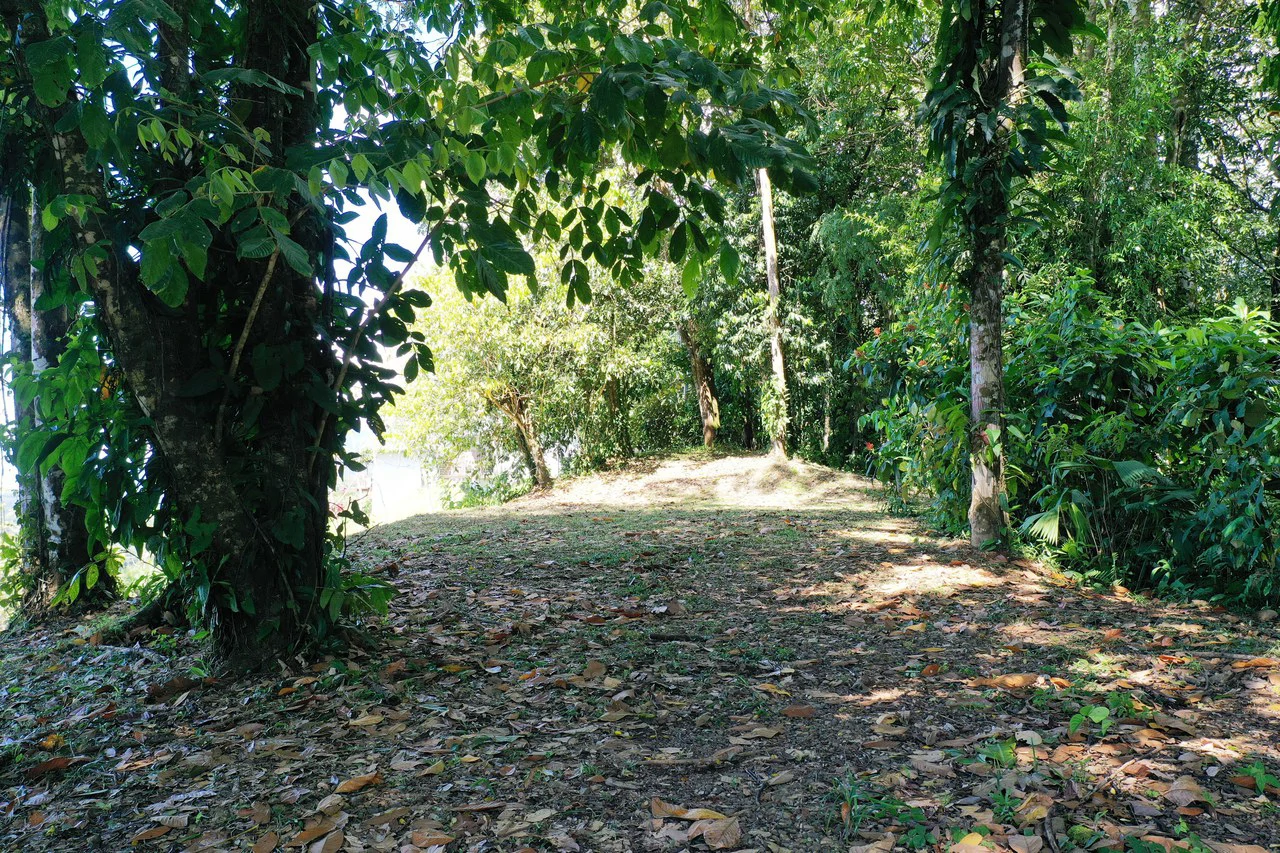 1.6 Acre Ocean View Home site in Uvita the Best Views in Town - Gallery image 17