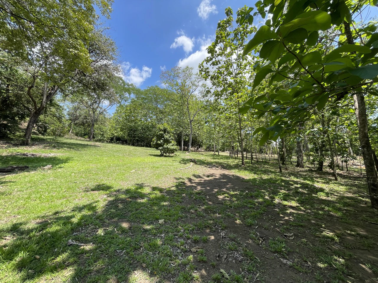Property for Sale San Mateo - Gallery image 9