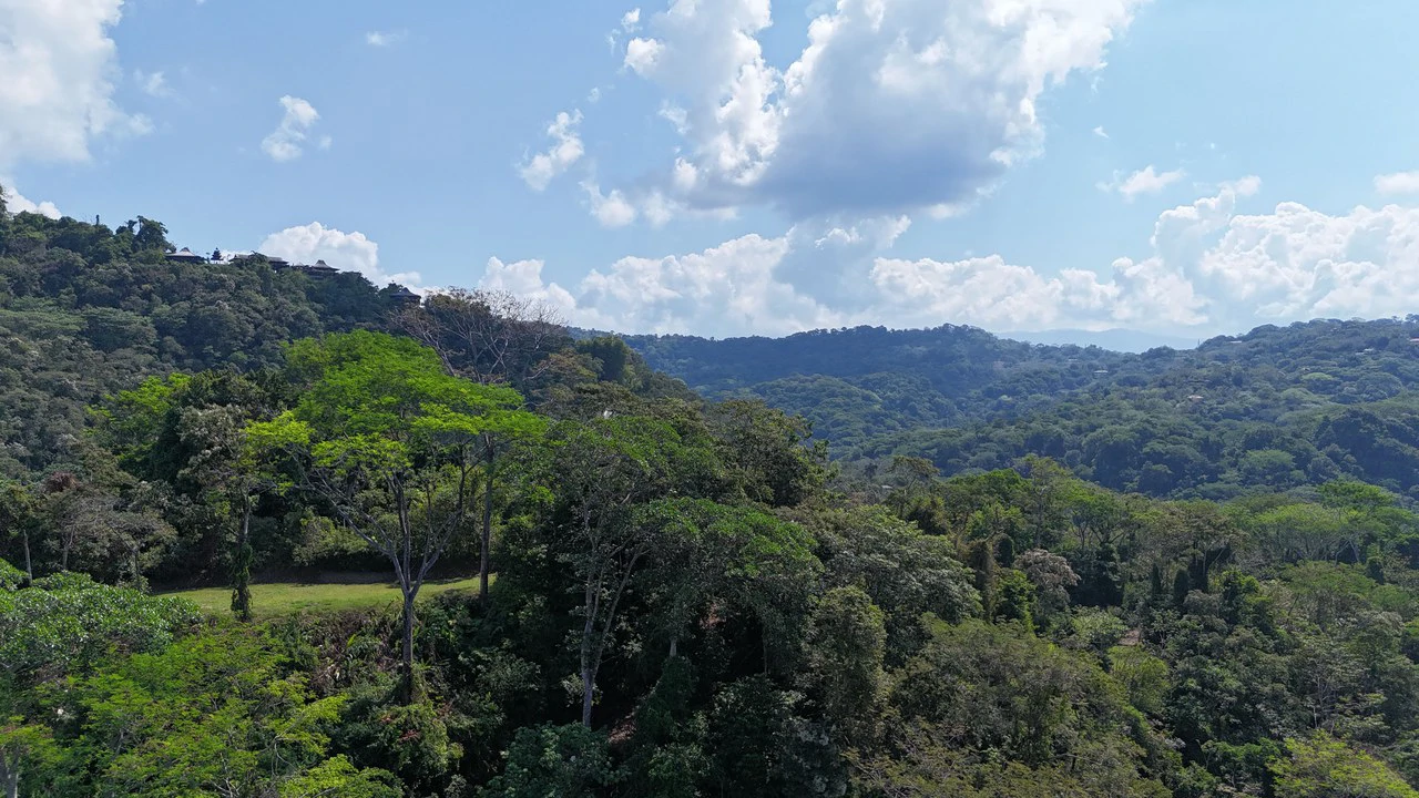 Exceptional Development Opportunity 71 acre Riverfront & Ocean View in Hatillo - Gallery image 7