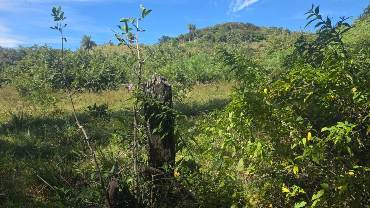 Mountain Property for Sale with charming 360º views of Guayabos Valley and the Volcanoes - Gallery image 45