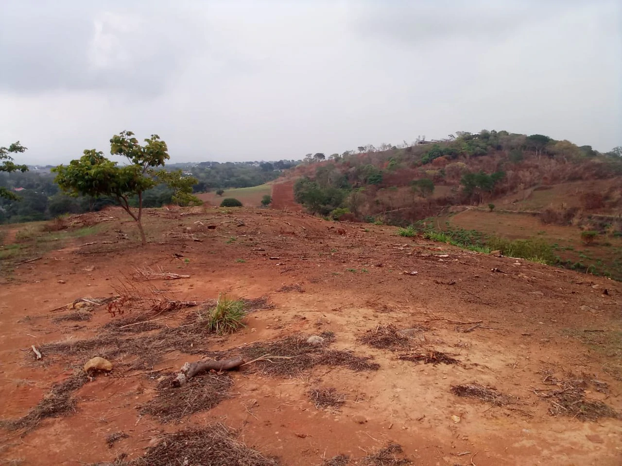 THE JEWEL OF GRECIA: $20m2 - 10 Hectares of Unlimited Potential! - Gallery image 9