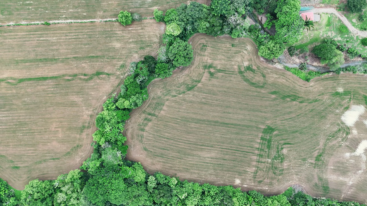 Near the Coast Agricultural Land For Sale in Matapalo - Gallery image 9