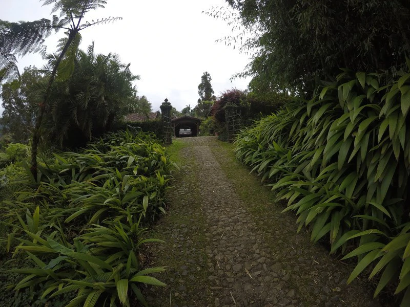 TROPICAL FOREST DREAM 15 min from downtown SJ - Gallery image 33