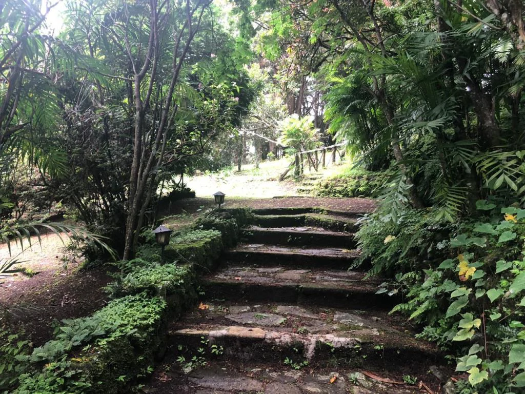 Horse ranch mountain farmland with its own stable's in San Rafael, Heredia - Gallery image 21