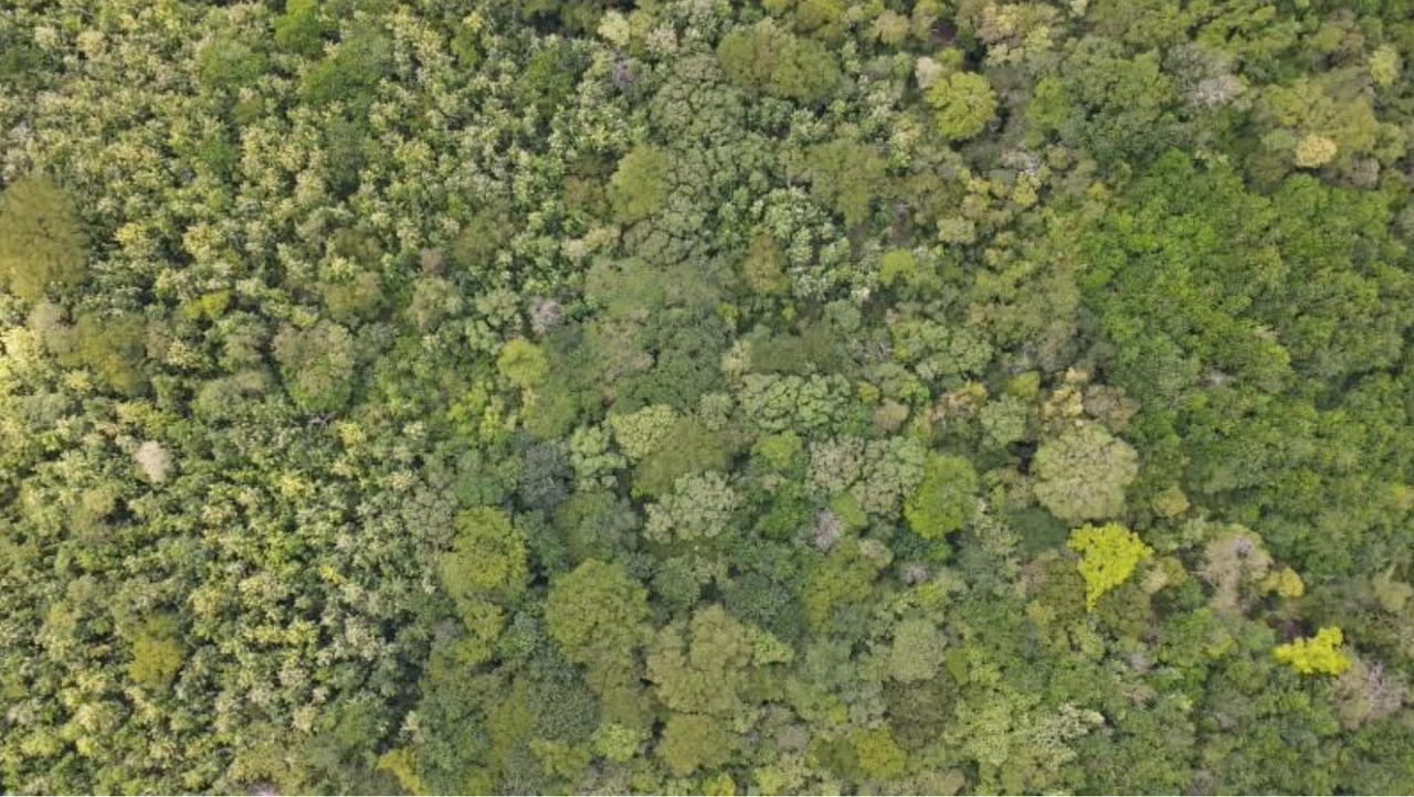 First Time Listed! Playa Avellanas Costa Rica Ocean View Development Land for Sale. Water and Land letter in Place. A Developer Dream! - Gallery image 2
