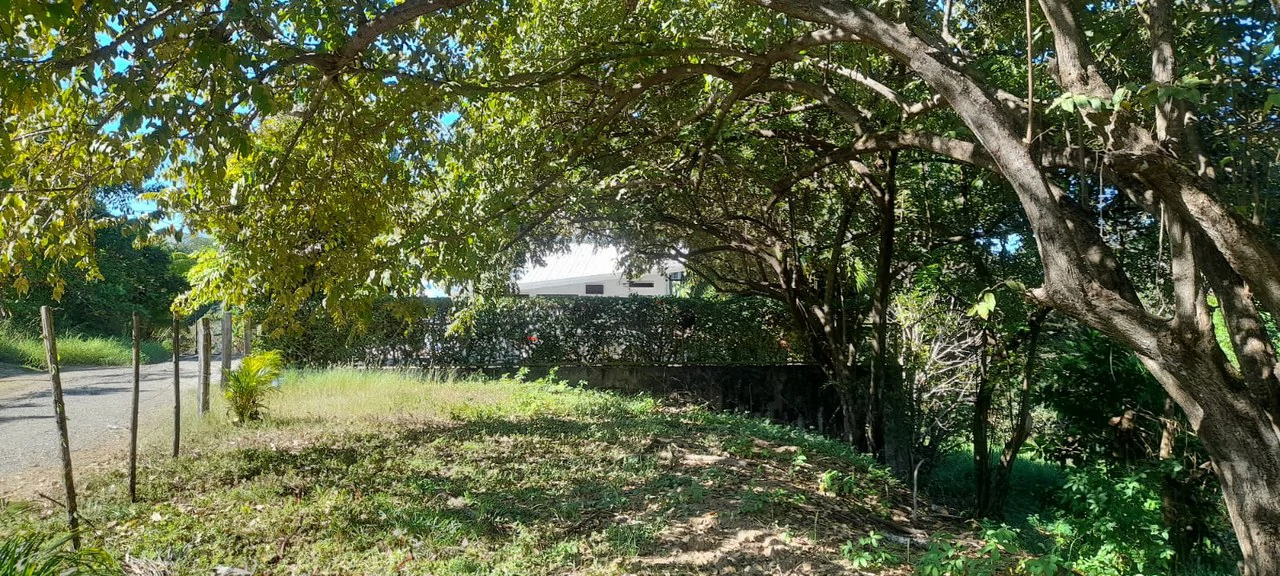 Playa Carrillo Lot: 200 meters to Playa Carrillo - Gallery image 14