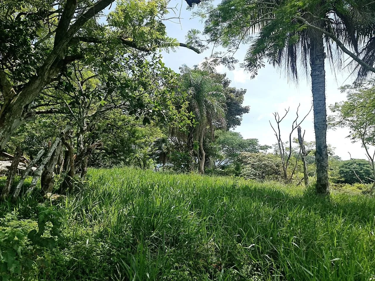 Near the Coast and Mountain Home Construction Site For Sale in Orotina y Caldera - Gallery image 11