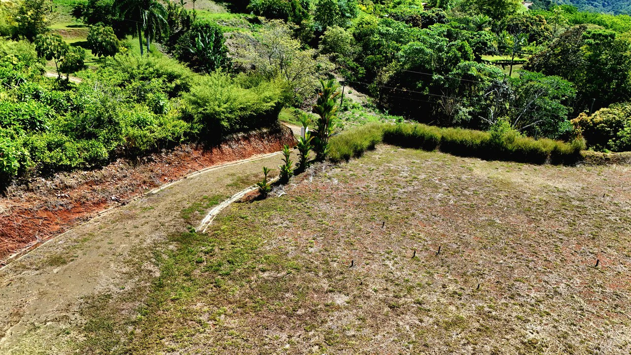 Ocean View Property with River & Waterfall Access – Tres Ríos de Osa - Gallery image 9