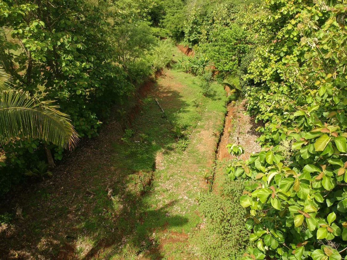 LOTE SERENIDAD: Beautiful 3,554 m² (0.89 Acre) Lot in Peaceful Estrada, Just 10 Minutes from Carillo Beach - Gallery image 7