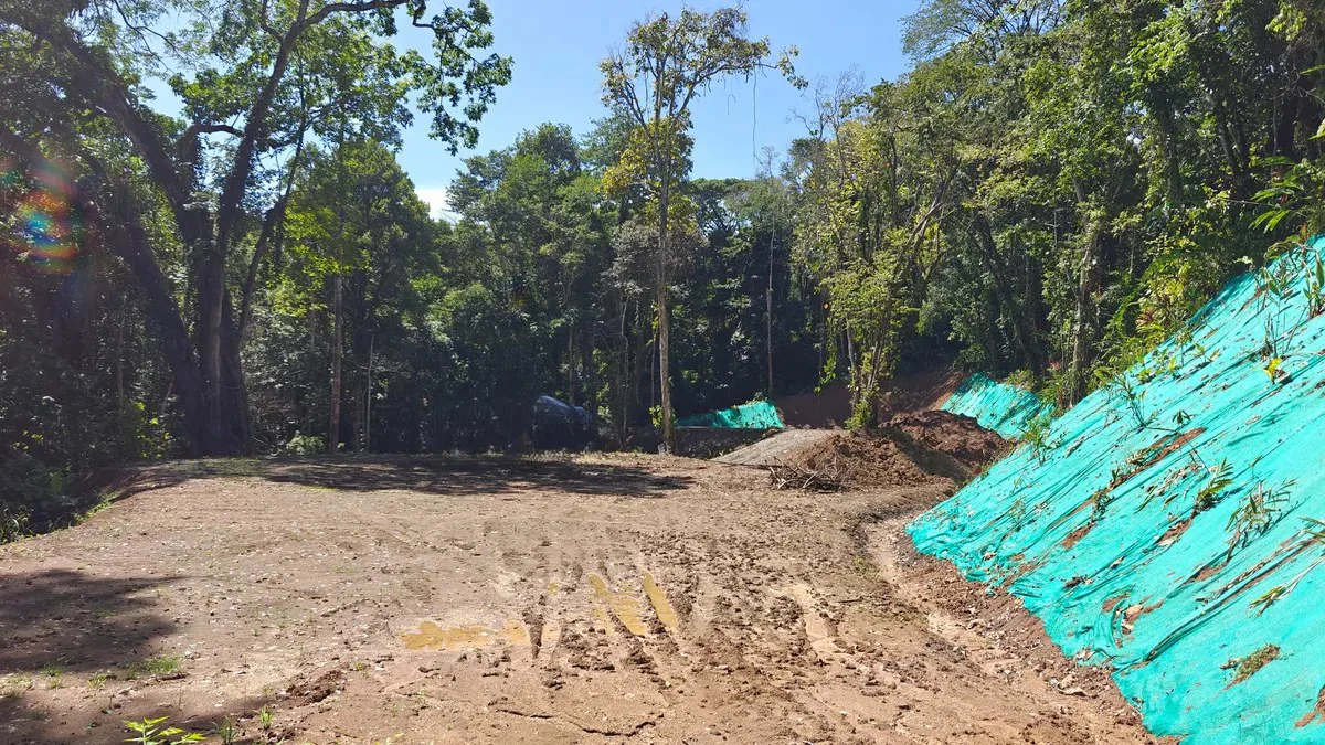 ID 1016: 6974m² Cahuita Titled Jungle Land Near the Beach - Gallery image 3