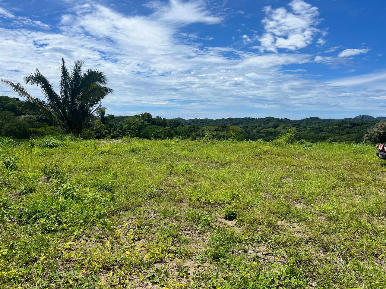 Lot Micky: Perfect Construction Opportunity Near Samara Beach - Gallery image 4