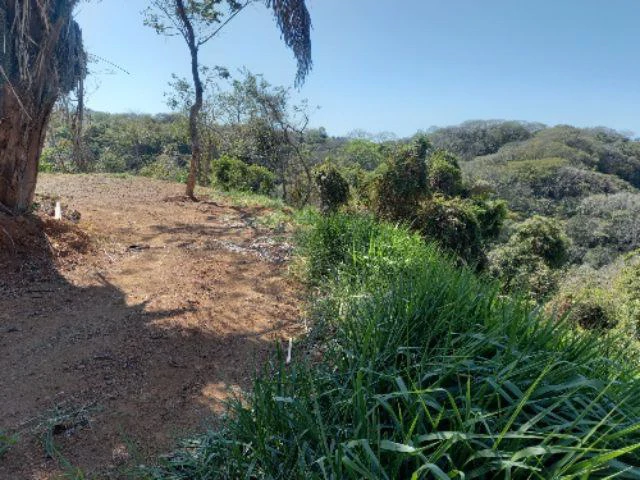 Building Lots for sale in a pristine and peacefull woodland 3 km from Samara Beach - Gallery image 7