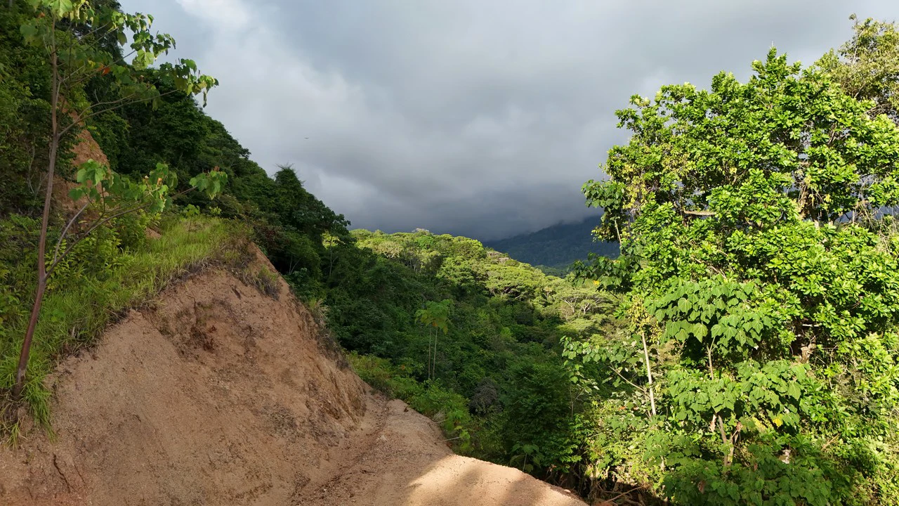 Stunning Ocean and Terraba River view property in Ojochal - Gallery image 7