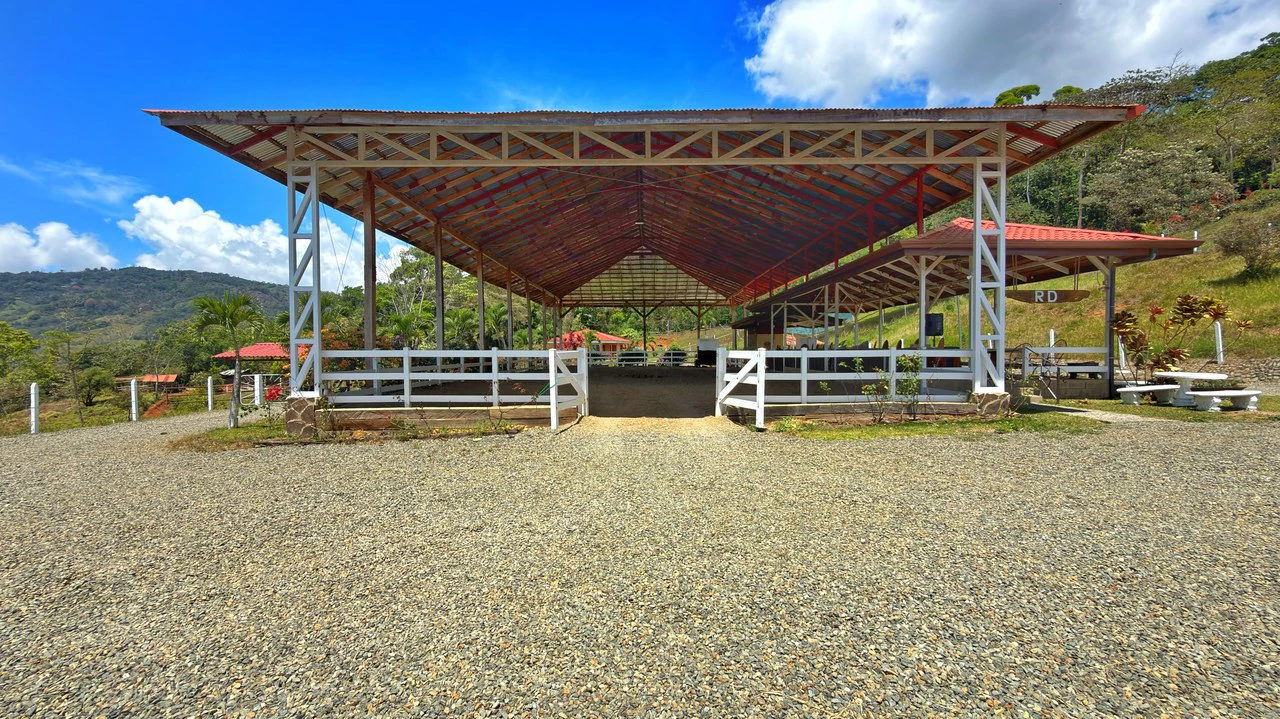 Agricultural Land For Sale in Daniel Flores - Gallery image 17