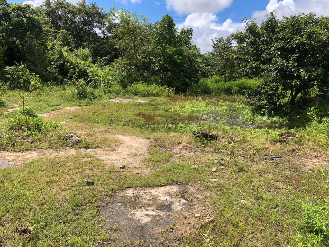 Development property for sale, Building project opportunity close to Liberia Airport and City with beautiful Flat property - Gallery image 9