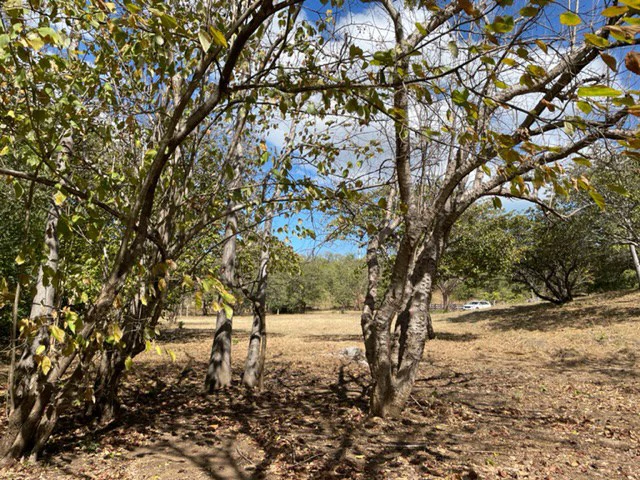 Prime 10-acre Commercial Land for Sale just 500m laterally from the International Airport in Liberia - Gallery image 8