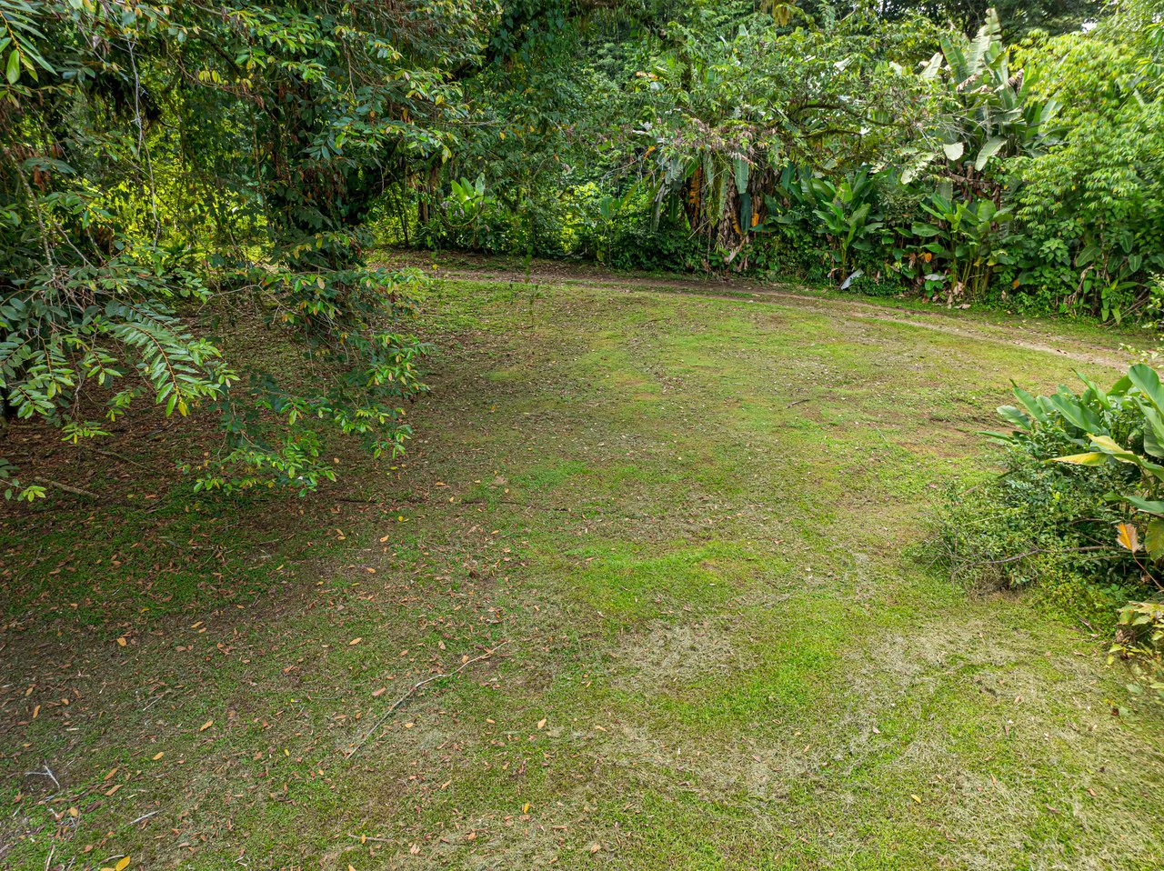 Tropical Hideaway – 7 Acres of Secluded Riverfront with a 3-Bedroom Home: Mountain House For Sale in Bahía Ballena - Gallery image 34