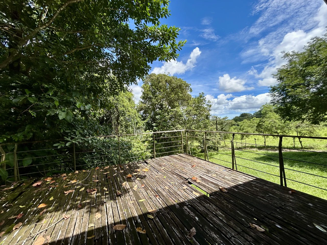Fixer-Upper Home with an studio Office in Palmar Norte on a 7.58 Acres Property - Gallery image 52