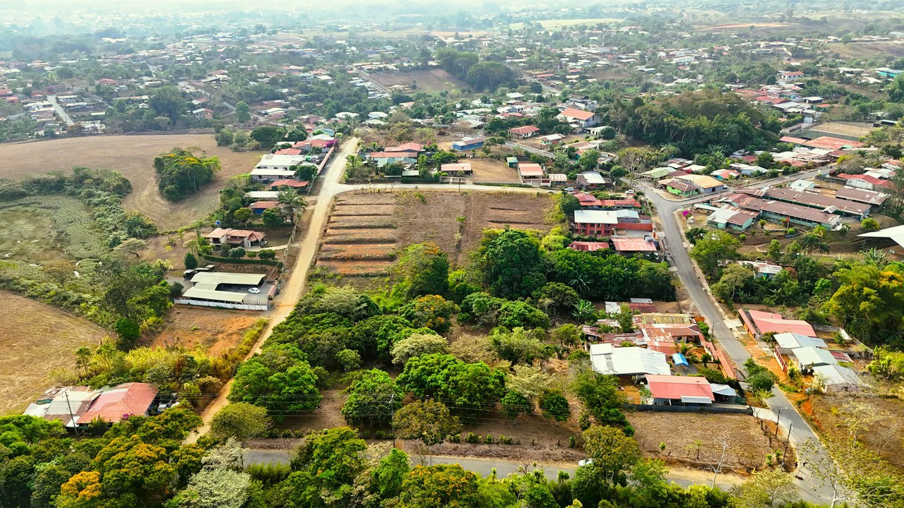 FRUIT TREE PROPERTY FOR SALE: Home Construction Site For Sale in San Isidro del General - Gallery image 3