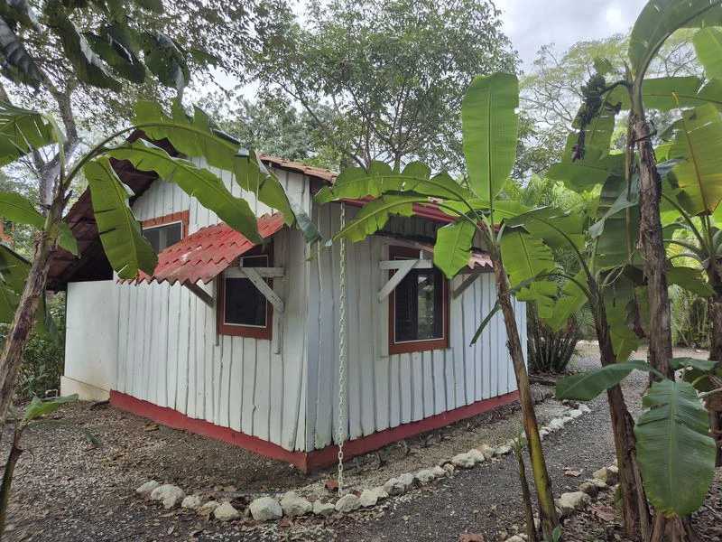 Casas Jungle: Charming Rental Compound with 5 units & pool in the heart of nature, minutes from Samara’s beaches - Gallery image 12