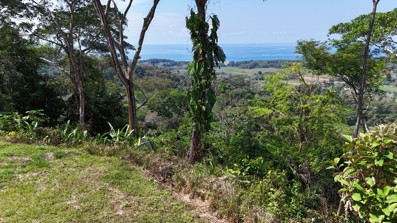 The Crown Jewel Ocean View Lot Hatillo - Gallery image 9