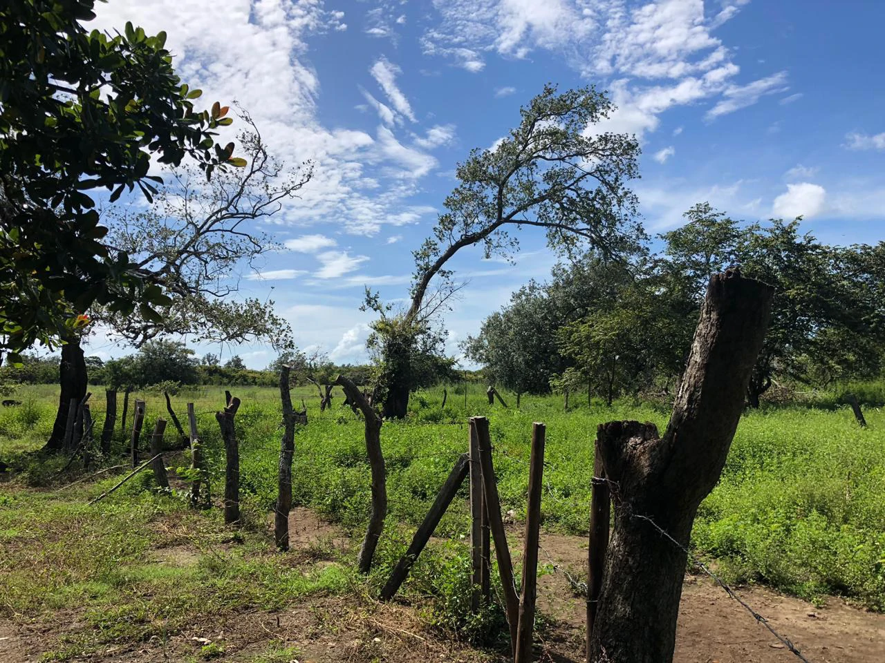 Great investment opportunity, property adjacent to Liberia Airport - Gallery image 19