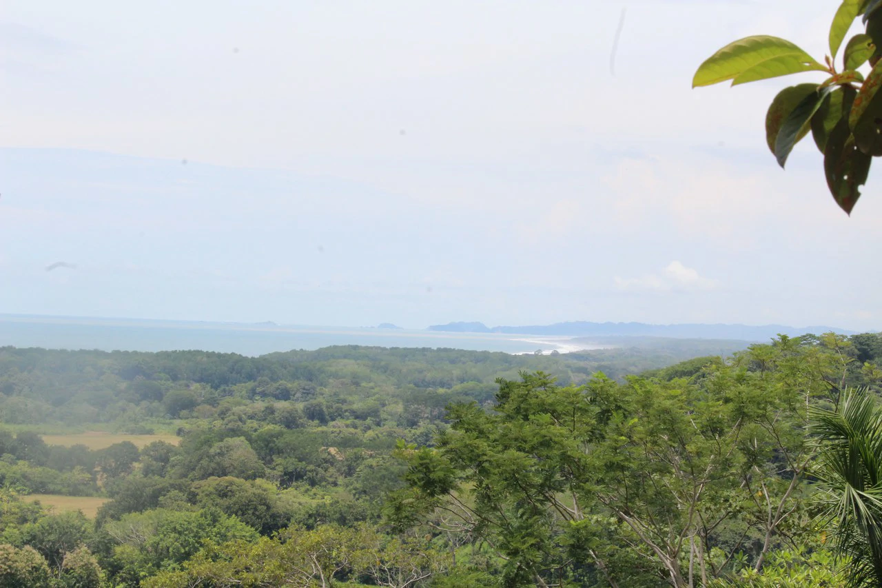 Whitewater Sunset Ocean View Lot Close to Dominical Beach - Gallery image 30