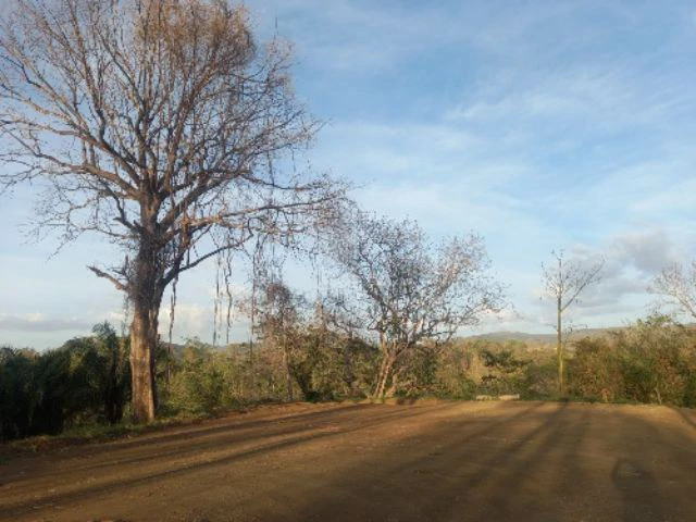 Building Lot for sale in a pristine and soothing woodland 3 km from Samara Beach - Gallery image 2