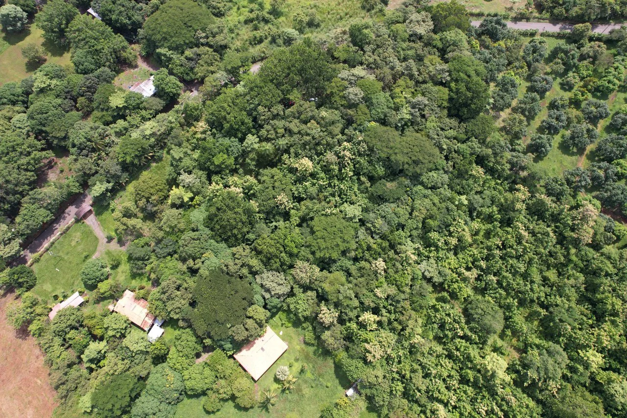 Near the Coast Agricultural Land For Sale in Orotina