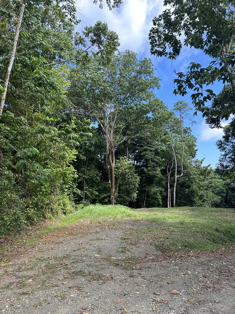 Cabo Matapalo: Jungle View Lot Priced To Sell! - Gallery image 37