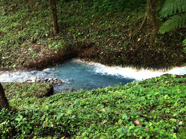 Cold & Hot springs surrounded by an overgrown farm, taken back by nature - Gallery image 66