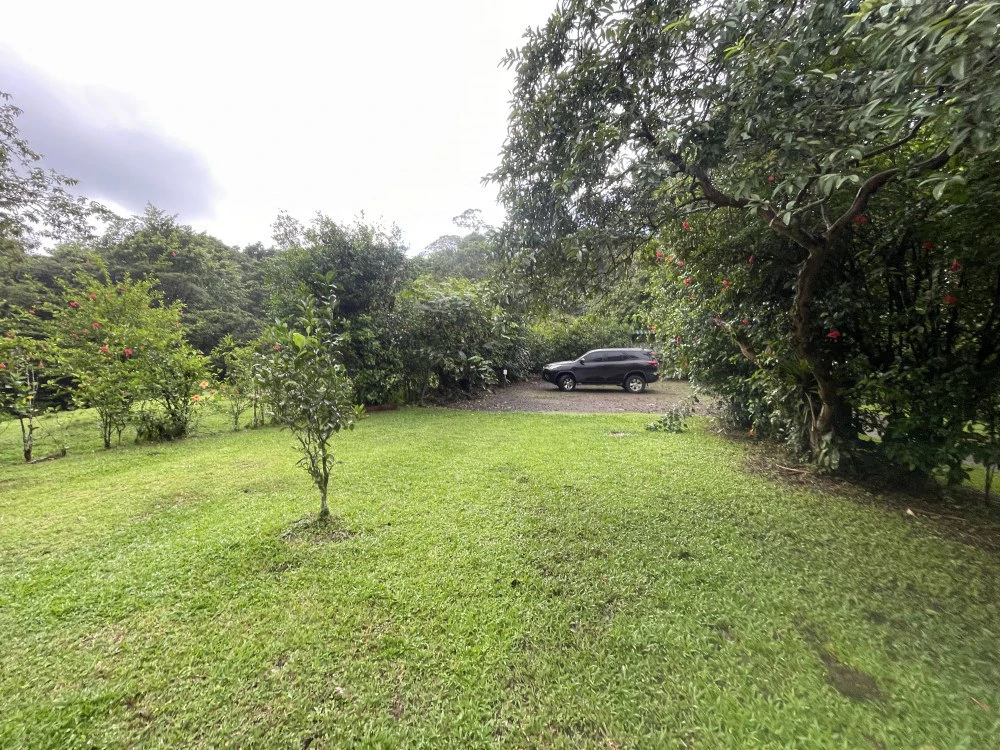 Nuevo arenal: Looking for a Property to Develop Family Residences with Lake Views? - Gallery image 17