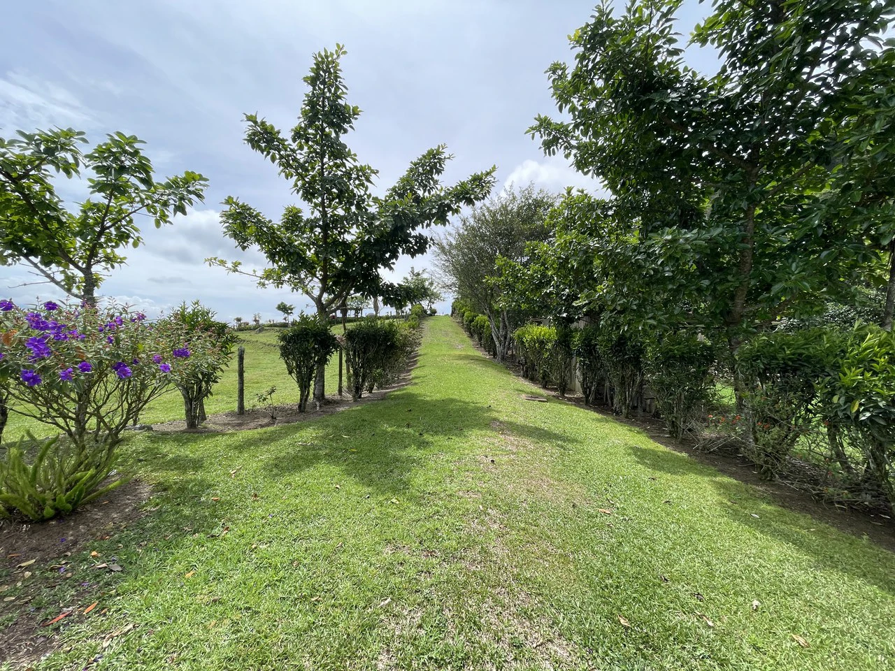 Cartago, gourmet coffee plantation: Charming Coffee Retreat Home with Stunning Views and Gourmet Coffee Plantations - Gallery image 16