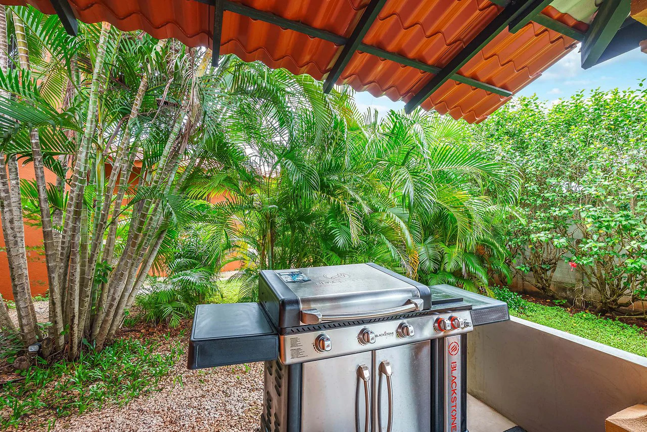 Iguana Villas #2: Perfectly Remodeled 2BR Villa at White Sand Beach - Gallery image 18