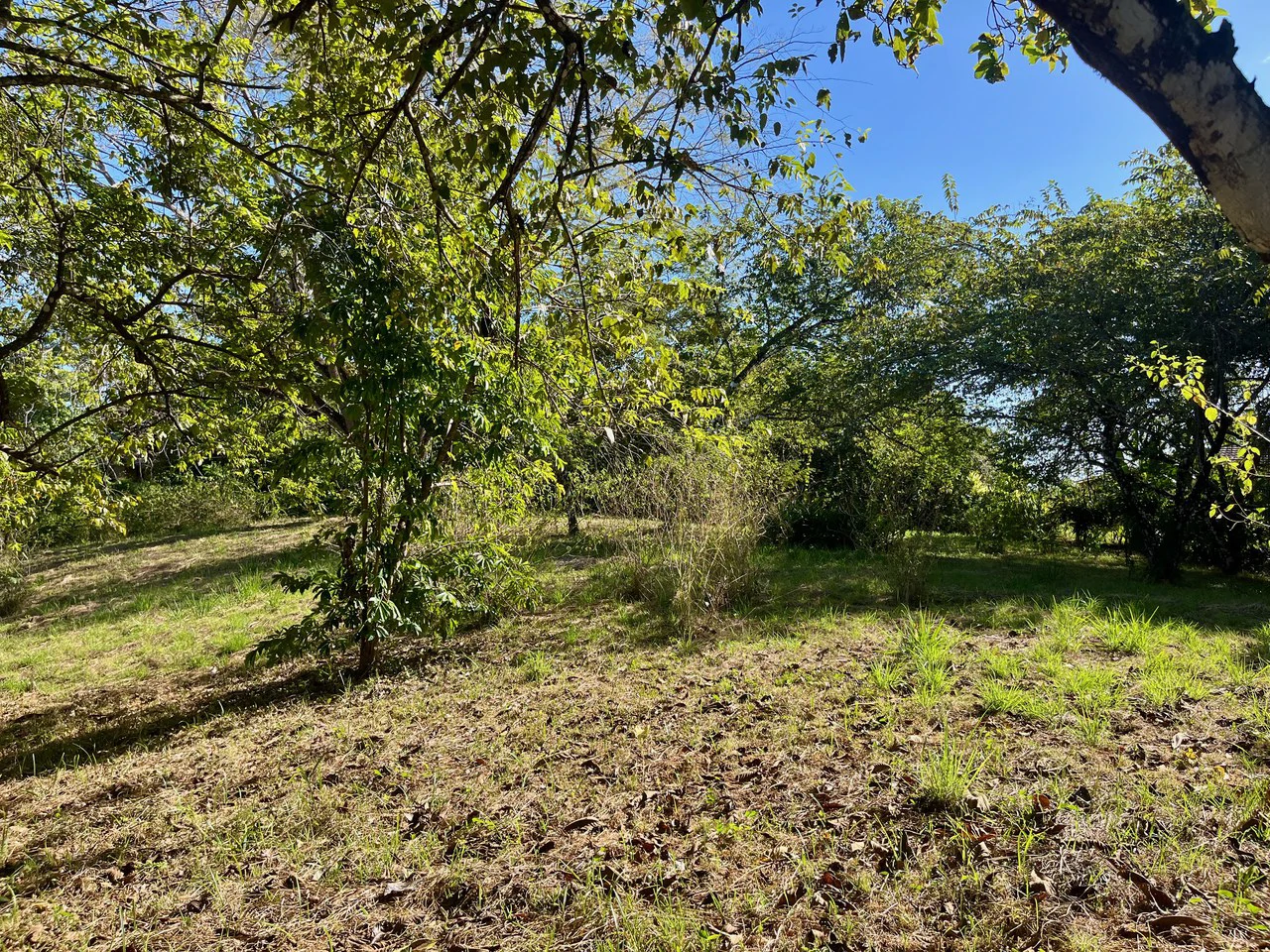4000m2 Ready to Build Lot in Delicias: Partial Ocean Views in Great Neighorhood - Gallery image 4